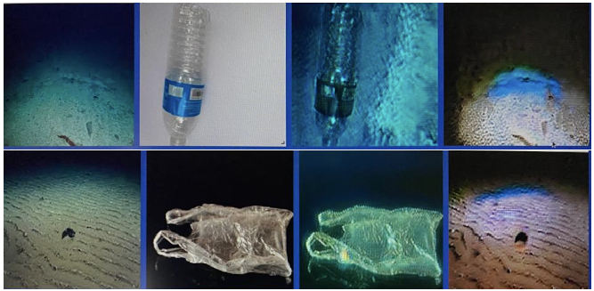GAMMA marine debris detection results